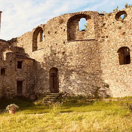 Mountains' View By World